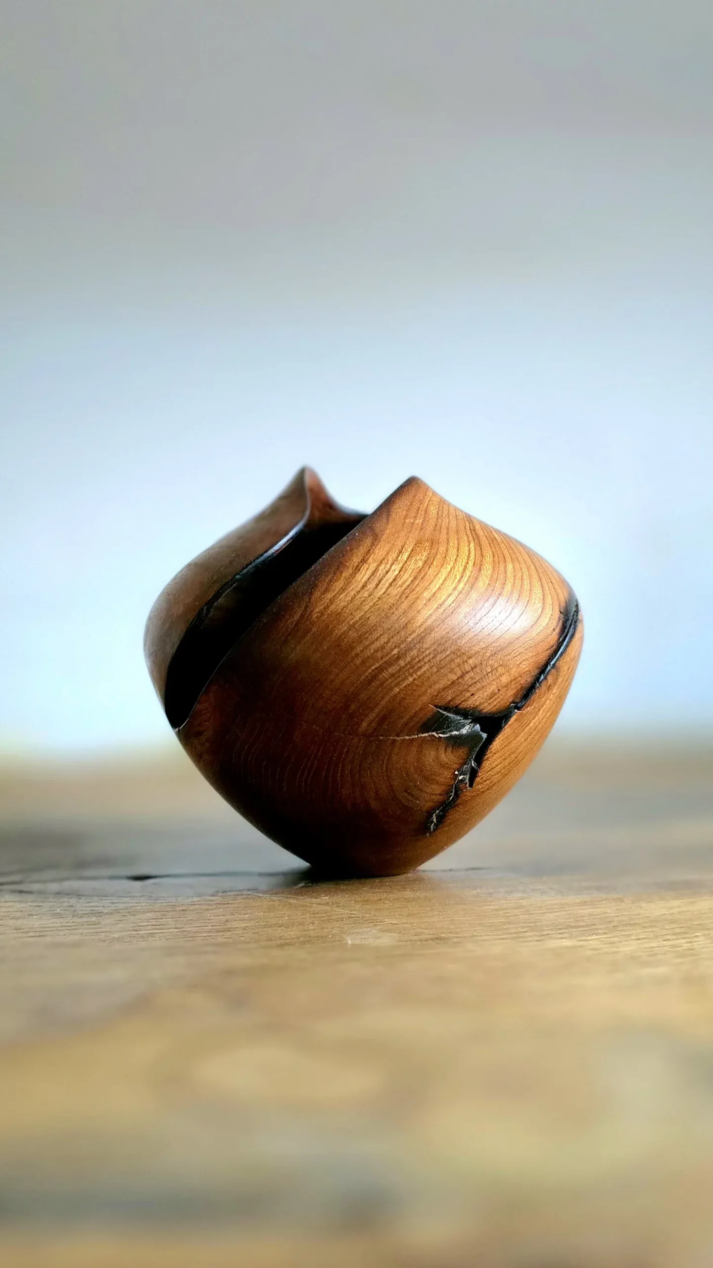 Hollowform en orme, vase en bois, bol en bois