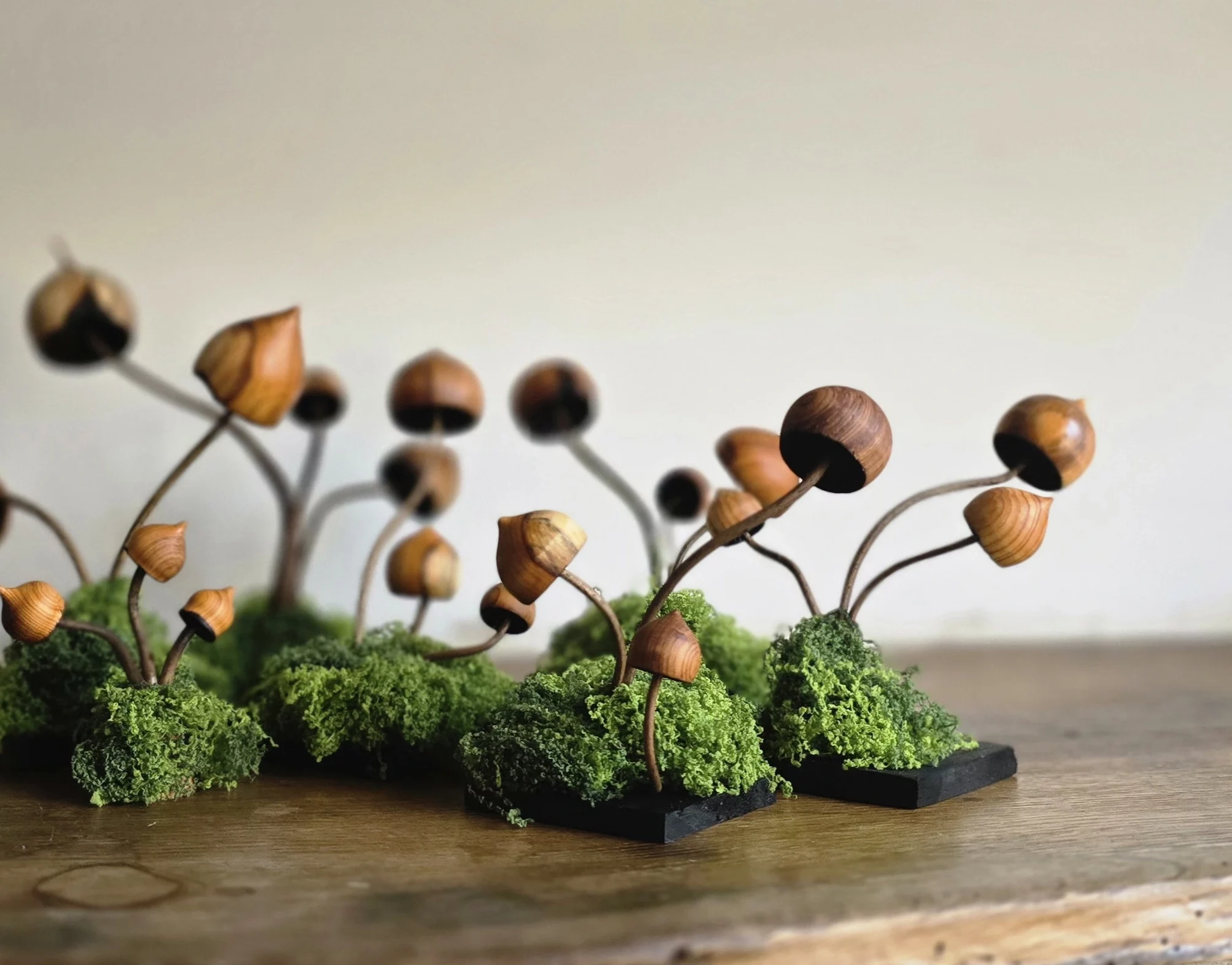 Champignons, psylos en bois de noyer et d'if. Mini forêt de champignon