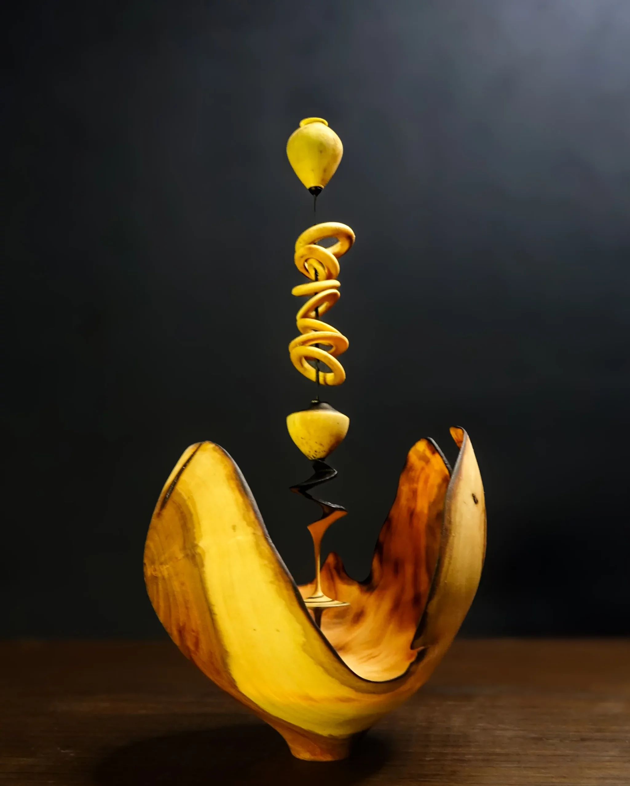 Dionaea, sculpture en Prunier et Buis. trembleur en bois de buis extrêmement fin avec 9 anneaux captifs et excentrée au pied