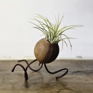 Pot de fleur en bois