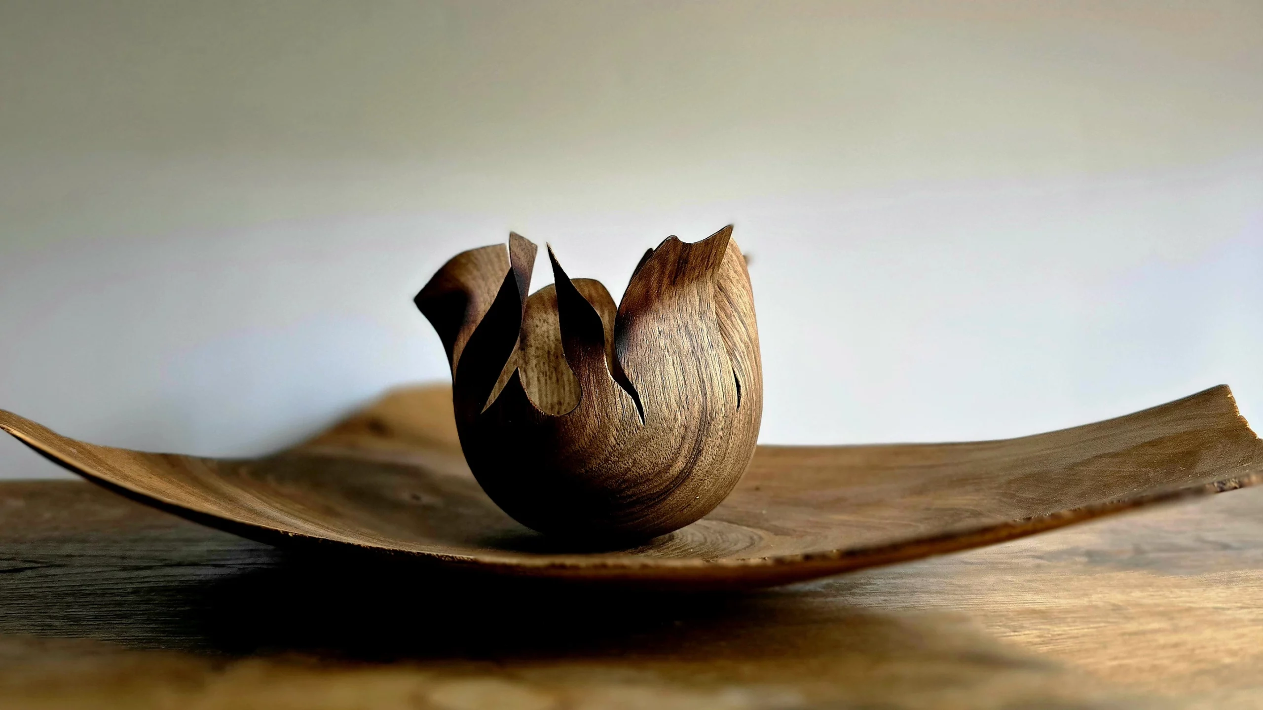 Œuvre en bois tourné artistique réalisée par Kevin Trouillet