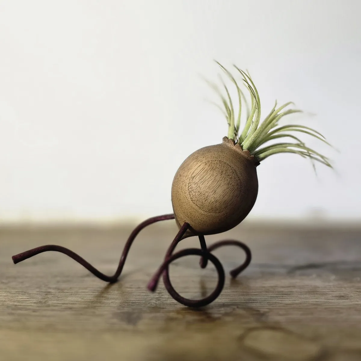 Pod en bois
