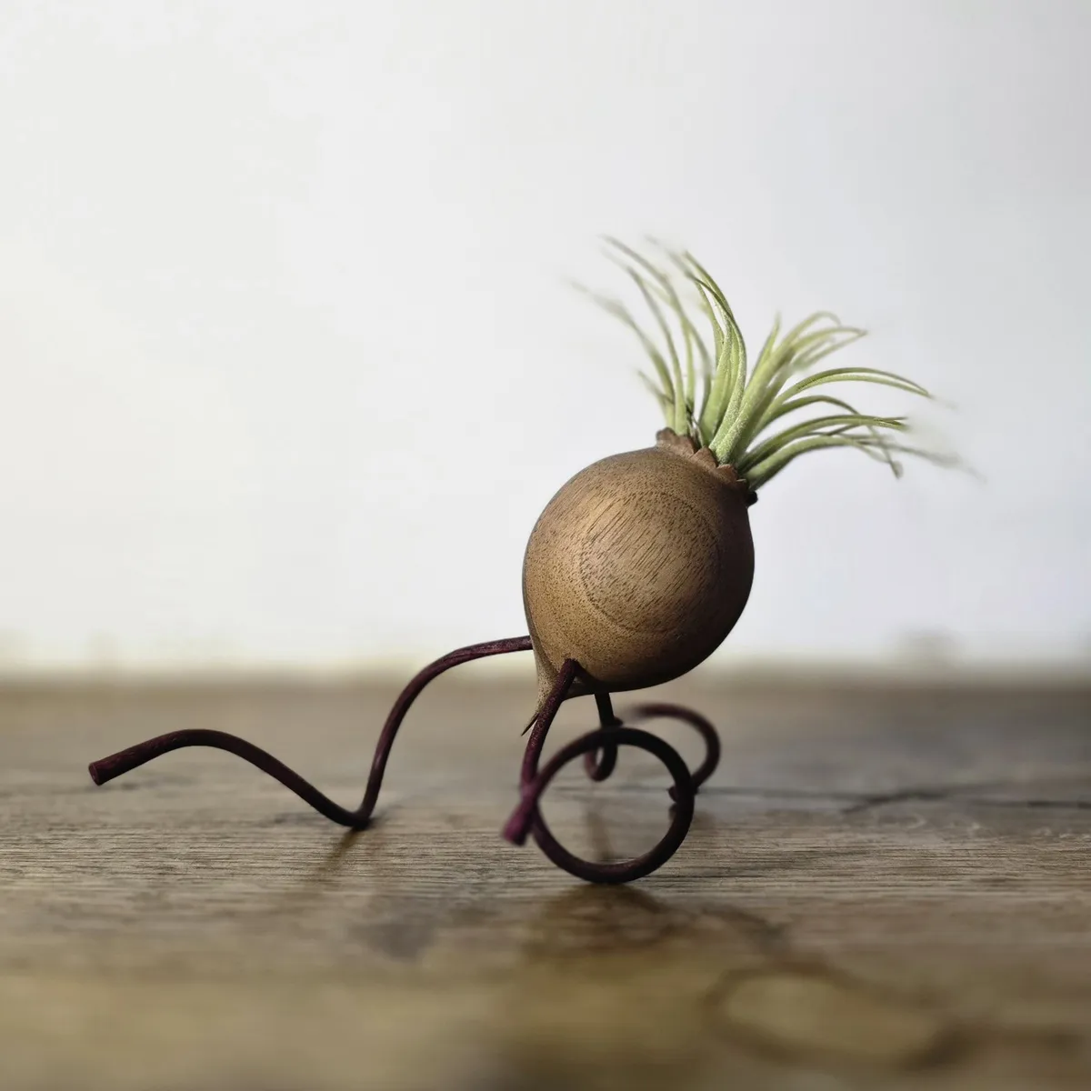 cache pot de fleur